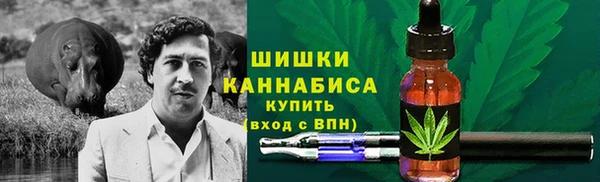 прущие грибы Балахна